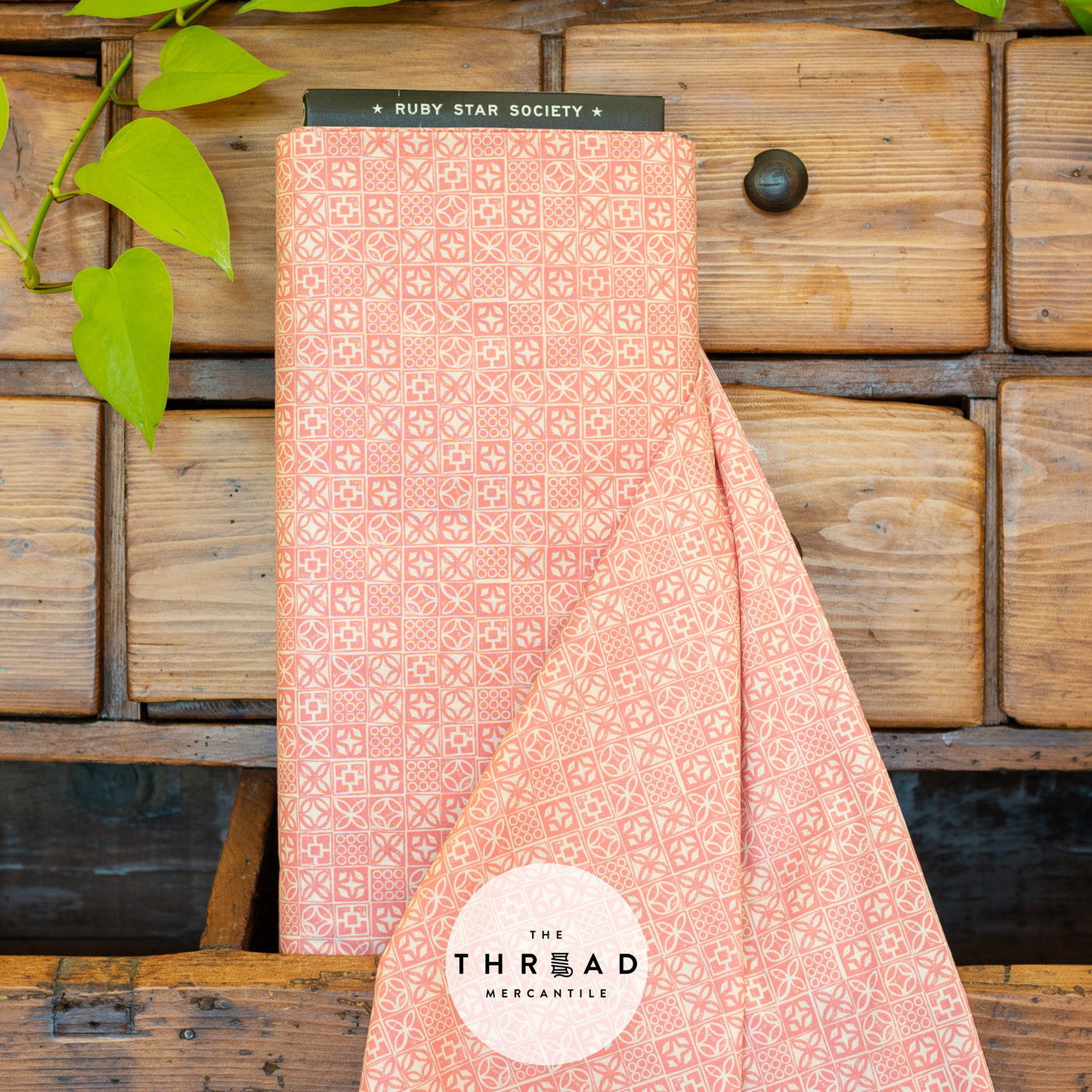 POOLSIDE TOO by Ruby Star Society - Architectural Blocks in Sorbet Color *BTHY*